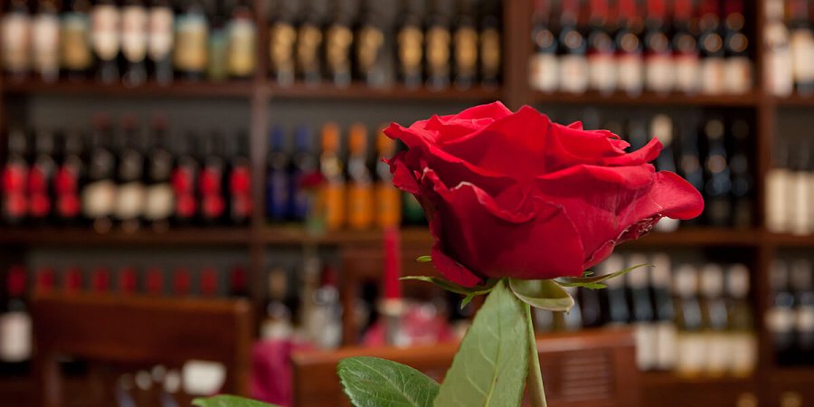 Das romantische Restaurant der VINERIA eignet sich insbesondere für Verliebte: ob Candle-Light Dinner, Heiratsantrag oder Hochzeit. Auf Wunsch können wir eine Rose bereitstellen.