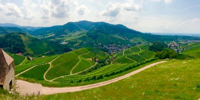 Wunderschöne Landschaft im Weingebiet Baden